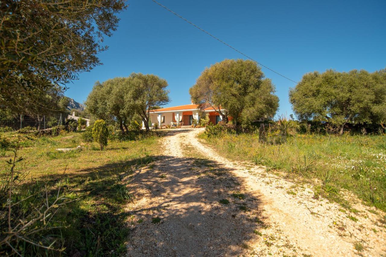 Luna Onifai Exterior foto